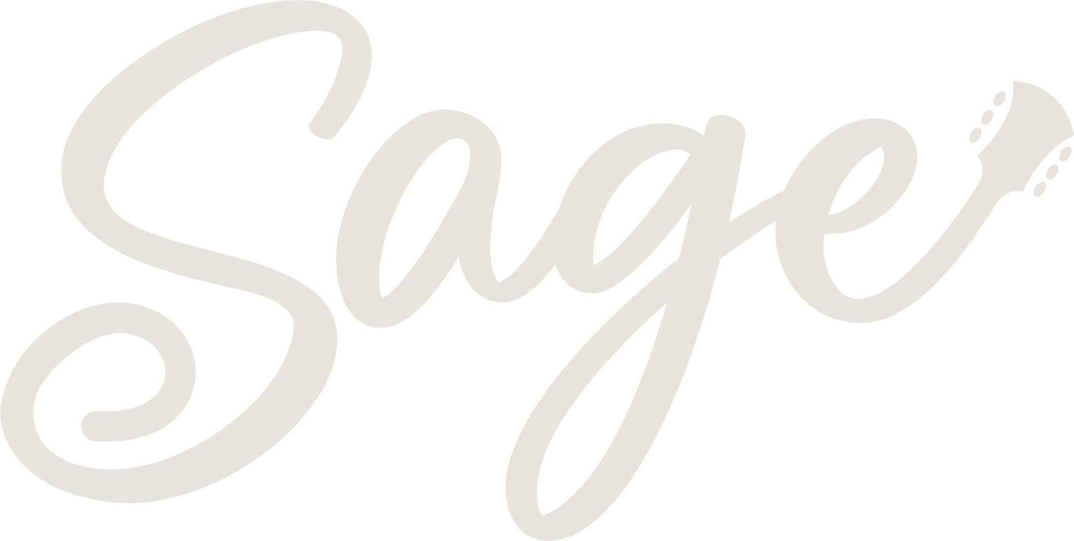 Sage Guitar